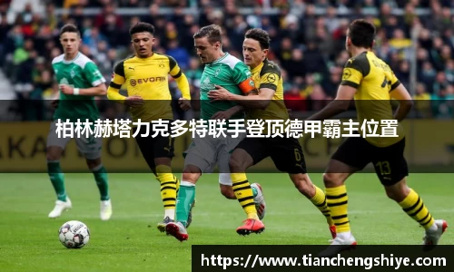 柏林赫塔力克多特联手登顶德甲霸主位置