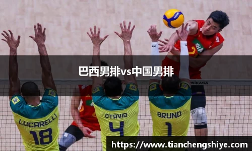 巴西男排vs中国男排