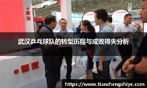 武汉乒乓球队的转型历程与成败得失分析